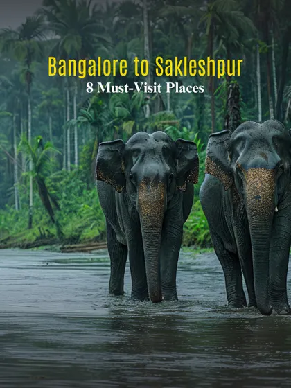My guide to the 8 must-visit places in Sakleshpur, the 'Green Route of Karnataka'. It's a perfect post-monsoon getaway.