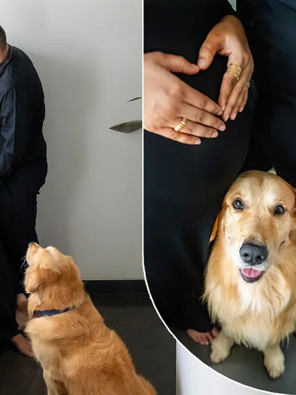 A collage from a black and white themed maternity shoot, featuring a golden retriever looking up at its owners who are making a heart shape on the baby bump.