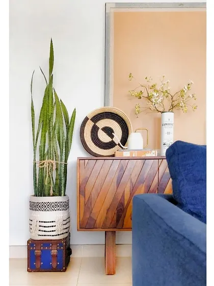 I love incorporating versatile decor pieces like this woven basket. Here, it serves as a beautiful planter, but it could just as easily be used to store blankets or toys, adding texture and function to any corner.