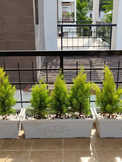 A simple and elegant balcony railing planter with cypress saplings. This creates a lovely green screen and adds a touch of sophistication.