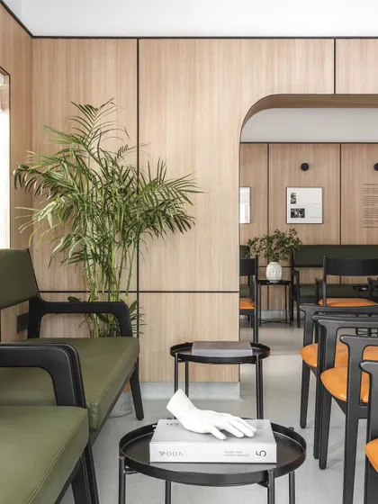 Biophilic elements, like the large indoor palm, are integrated throughout the clinic. These natural touches are essential for creating a healing environment and promoting a sense of well-being.