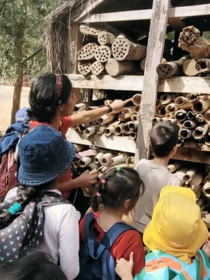 Additional views from our "Going Out" trips, showcasing the variety of environments we explore and the deep engagement of the children as they learn from the world around them.