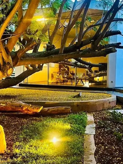 A highlight from a project at Epsilon Layout, where we preserved and designed around a magnificent, mature tree, making it the centerpiece of the garden.