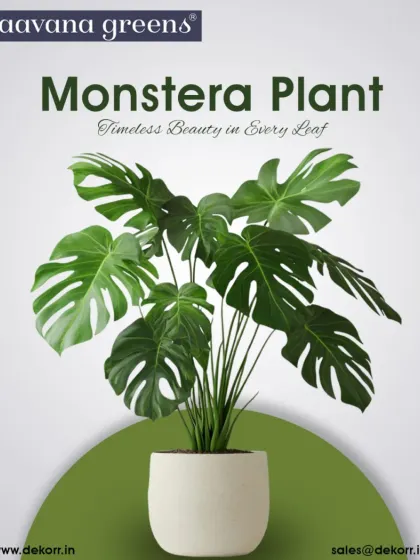 Timeless beauty in every leaf. The Monstera plant is an icon of style, and our artificial version delivers all the tropical charm with none of the work.