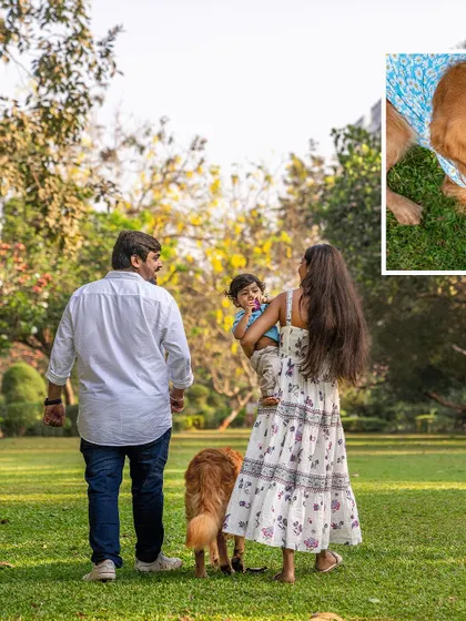 A collage showing a family walking through the park with their son and dog.