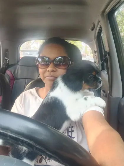 Back to doing rescue and adoption work. This little Cavalier King Charles Spaniel puppy is on their way to a new beginning. Proper handling and transport are key to making a puppy's first experiences positive and stress-free.