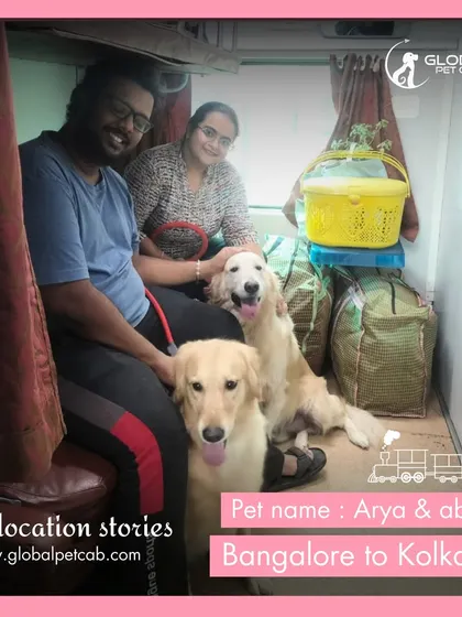 Arya and Abby, two beautiful Golden Retrievers, traveling with their family from Bangalore to Kolkata. We can arrange comfortable travel for multiple large dogs in a single coupe.