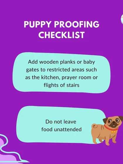 A puppy-proofing checklist is essential for safety. Use baby gates to block off restricted areas like the kitchen and never leave food unattended where a curious pup can reach it.
