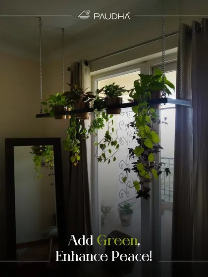 Green is the color of peace, and I believe in enhancing it. This image of a hanging planter casting a reflection in a mirror is a simple reminder of how adding green to your home can enhance your sense of peace.