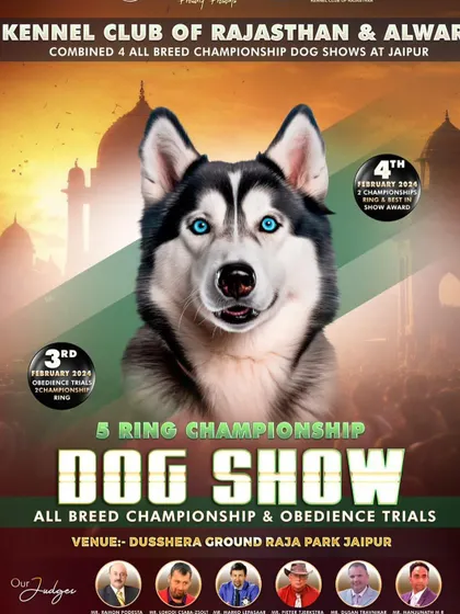 Our stylists from Scoopy Scrub were on hand at the 5 Ring Championship Dog Show in Jaipur to make sure the canine stars looked their absolute best.