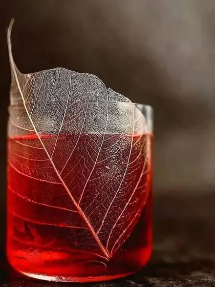A minimalist yet striking presentation. This red cocktail is served with a translucent, skeletonized leaf, playing on themes of nature and science.