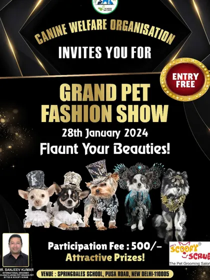 We invited pet parents to the Grand Pet Fashion Show in New Delhi. As event partners, we love to see pets flaunt their style and personality.