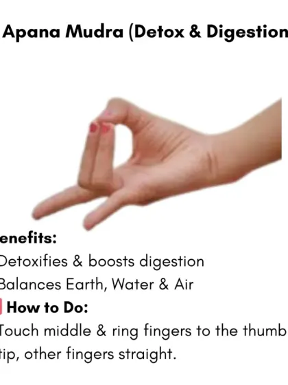 Apana Mudra is specifically for detoxification and digestion. By touching the middle and ring fingers to the thumb, you can balance the earth, water, and air elements to boost your digestive fire.