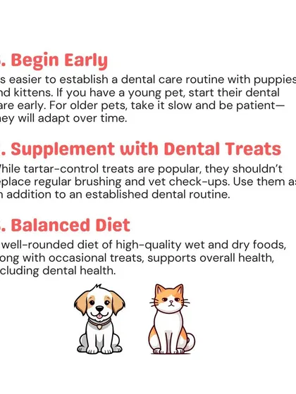 It's best to start a dental care routine early with puppies and kittens. For all pets, supplementing their diet with dental treats and ensuring they eat balanced meals supports overall oral health.