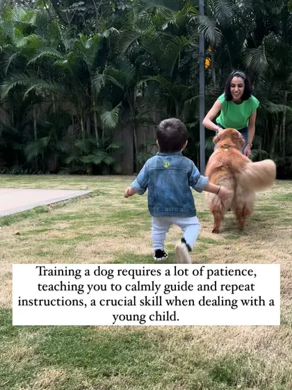 Training a dog requires immense patience, teaching you to calmly guide and repeat instructions. This is a crucial skill that has directly translated to how I interact with my young child.