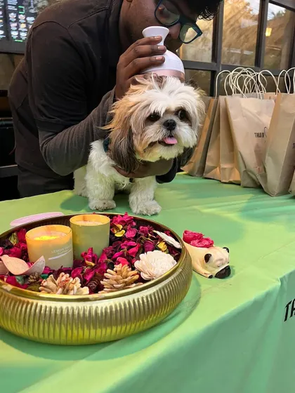 This little Shih Tzu is getting a gentle head massage at our pop-up event. We bring our best tools and a lot of love to every event we attend.