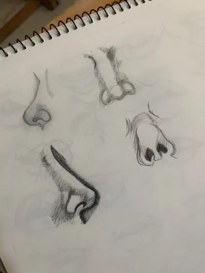 Practice sketches of noses from different angles. Understanding the structure of each feature is key to realistic portraiture.