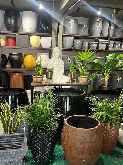 Another angle of our extensive in-store collection. This view highlights the variety of textures, colors, and sizes we offer, ensuring you can find the perfect pot for any plant and any decor style.