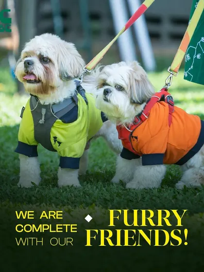 We are complete with our furry friends. Two adorable shih tzus ready for their day out.