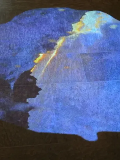 Another detail of the video art projection by Pipilotti Rist. The amorphous shapes and shifting colors bring a sense of fluidity and wonder to the architectural space.