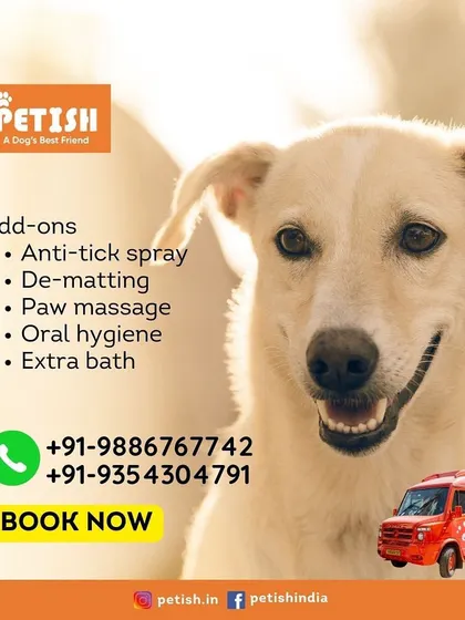Customize your pet's spa day with these valuable add-ons. From anti-tick spray to a relaxing paw massage, I have everything to meet your pet's specific needs.