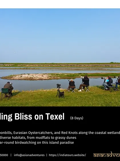 A group of birdwatchers on our Texel tour, set up to observe migratory birds along the coastal wetlands. This 8-day trip offers year-round birding bliss in a peaceful island paradise.