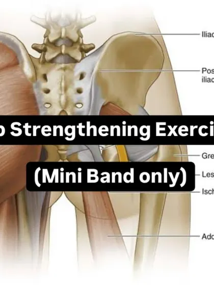 This anatomical chart highlights the hip muscles targeted by our mini band exercises. Strengthening these muscles, particularly the gluteus medius and minimus, is crucial for pelvic stability and preventing lower-body injuries.