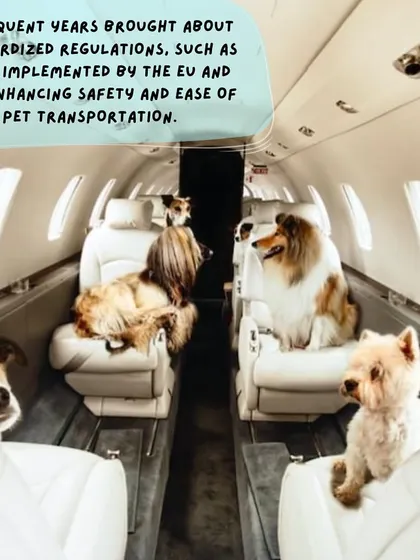 The world of pet transportation has evolved significantly. Standardized regulations from bodies like the EU and IATA have enhanced the safety and ease of moving pets globally, making the world smaller for our furry friends.
