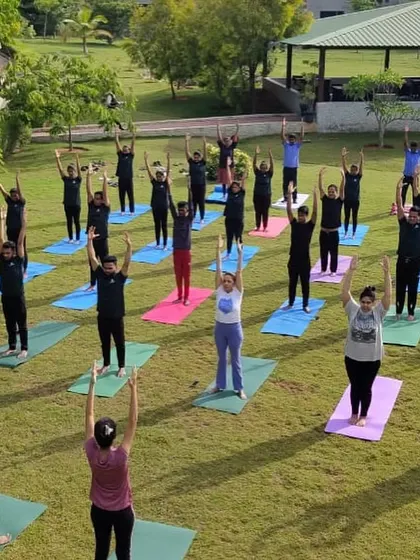 Guests participating in a group yoga class, raising their arms in unison. The collective energy of a group session can be incredibly uplifting and motivating, creating a shared sense of purpose and well-being.
