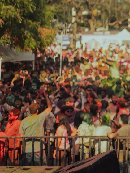 A shot of the massive, color-soaked crowd at one of my Holi gigs. The energy is just incredible.