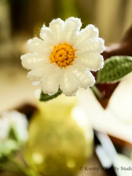 Fresh as a daisy. A close-up of a single crochet daisy, showcasing the intricate work in the center and petals.