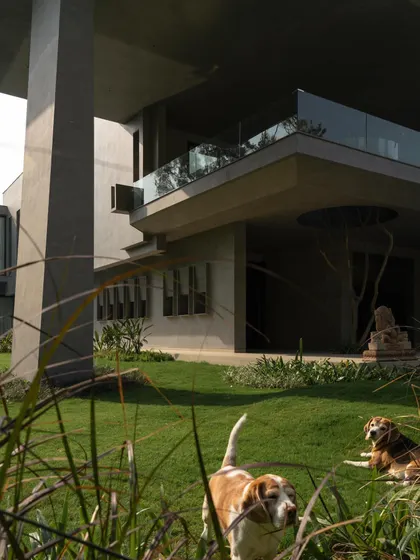 These images show the house as a living space, with glimpses of the pool, lawn, and even the family dogs, grounding the monumental architecture in everyday life.