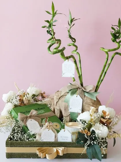 This shot provides a clear view of the entire sustainable hamper arrangement. It includes a book, a candle, and a bamboo plant, making it a perfect gift for housewarmings, birthdays, or as a corporate wellness gift.
