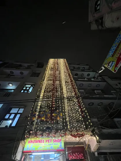 An apartment building transformed for a wedding. The facade is covered in vertical streams of fairy lights and drapes, making it stand out in the neighborhood.