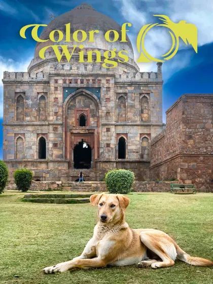 The same grand scene with my logo.