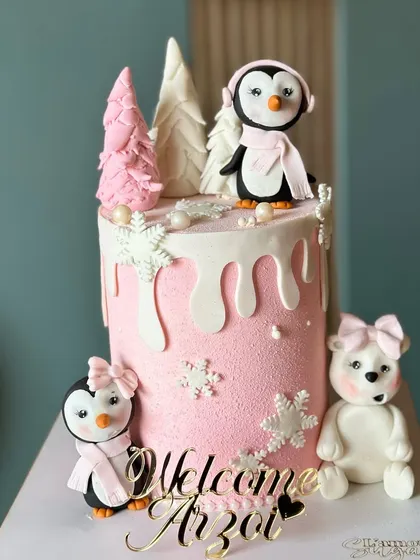 Winter is here, and so are our dreamy winter-themed cakes. From snowy landscapes with penguins and snowmen to cozy winter wonderland designs, we love celebrating the season.