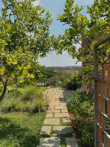 A stone pathway meanders through the lush, native landscape of one of my residential projects. The design philosophy is to let the architecture breathe and integrate with its surroundings, creating a tranquil and green haven.