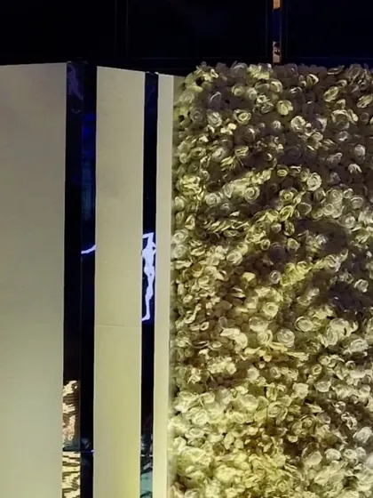 Another view of the white and yellow rose wall, showing its texture and dimension.