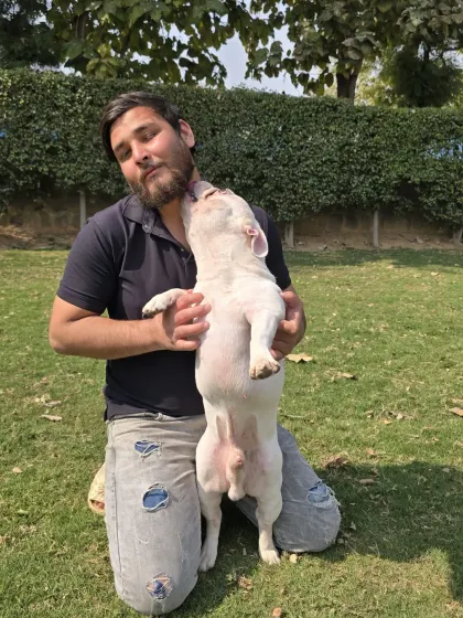 Nothing says "I love you" like a happy lick from a furry friend. This shows the strong, trusting bonds our team builds with every pet.