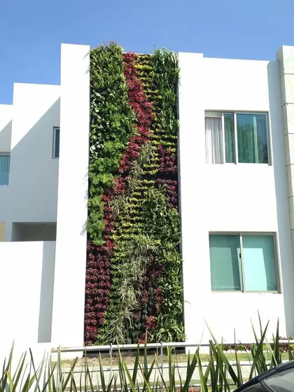 A tall, vertical green panel installed on the front of a modern home, serving as a unique architectural feature that adds color and life to the white facade.