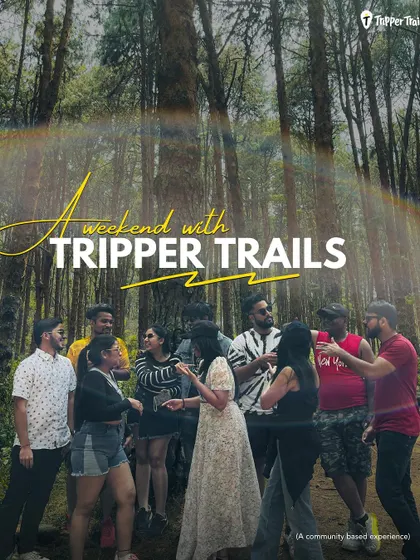 A weekend with Tripper Trails is a community based experience. This picture from a pine forest shows our group interacting and having fun, which is the essence of what we do.
