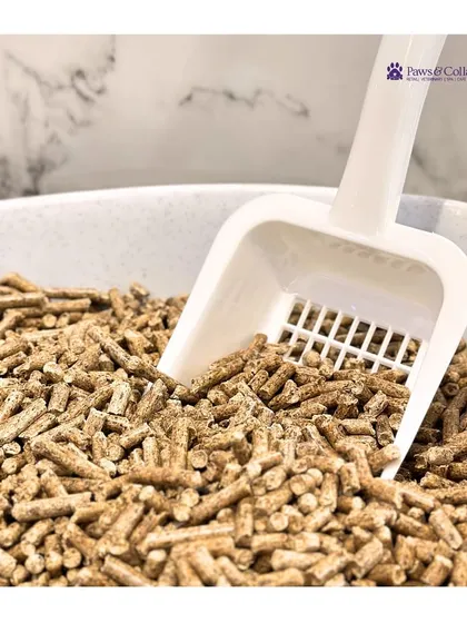 A repeat of image 78, this close-up shot is perfect for showing customers exactly what to expect from our natural pine wood litter.