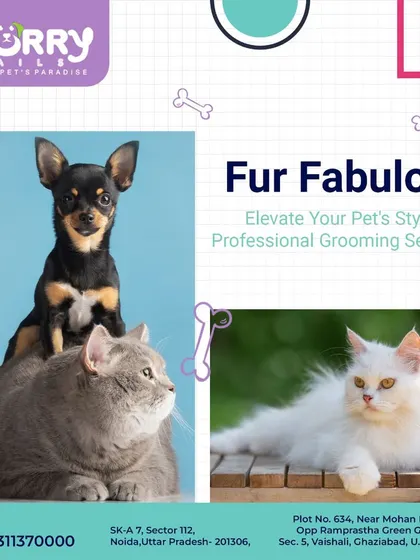 We are your destination for a "Fur Fabulous" look. We offer professional grooming services for both dogs and cats to elevate your pet's style and comfort.