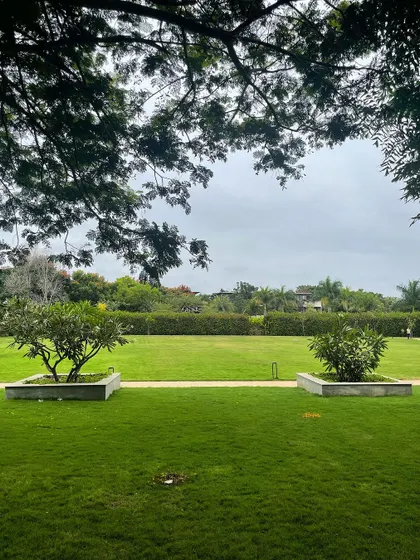 This image captures the scale of projects I manage, showcasing a vast, perfectly manicured lawn at Embassy Boulevard. My maintenance ensures that large landscapes, including jogging tracks and common areas, remain pristine and healthy.
