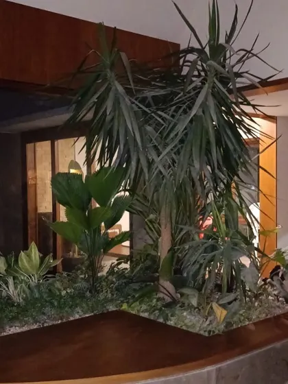 The indoor window sill garden at night, with subtle lighting highlighting the different plant forms and creating a dramatic, jungle-like atmosphere inside the home.