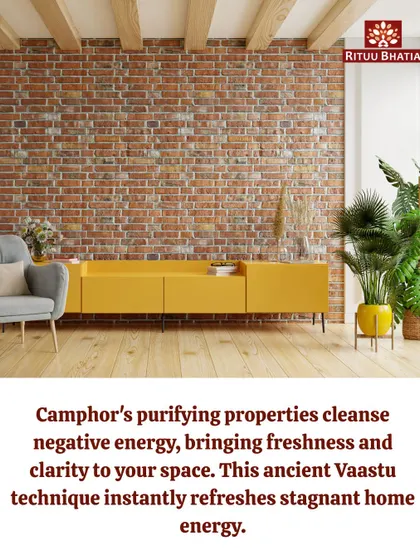 Camphor is an ancient tool for cleansing negative energy. Its purifying aroma instantly refreshes a stagnant environment, bringing a sense of freshness and clarity to your space. This is a quick way to reset your home's energy.