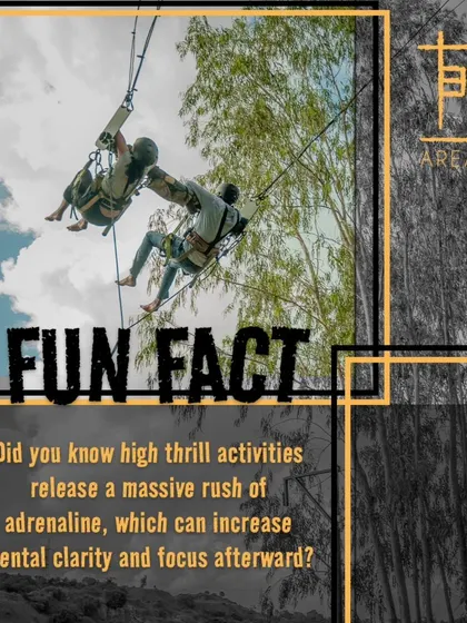 Fun fact: High-thrill activities release a massive rush of adrenaline, which can increase mental clarity and focus afterward.