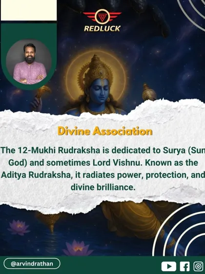 This bead is dedicated to Surya (the Sun God) and sometimes Lord Vishnu. As the Aditya Rudraksha, it radiates divine brilliance, offering power, protection, and leadership qualities to the wearer.