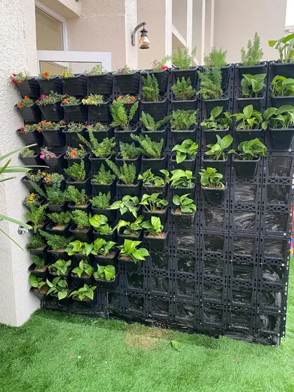 This image captures the installation of a living wall on a balcony. The modular pocket system allows us to create a dense and healthy garden even in compact spaces.