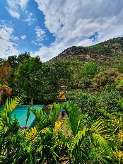 The lush, tropical landscape of our Nandi Hills resort, with the pool peeking through the vibrant green foliage.